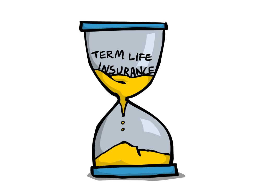 cheap term life insurance Reasons Term Life is Cheap