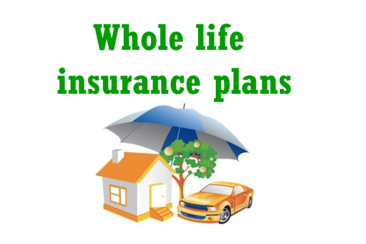 whole-life-insurance-plans 2
