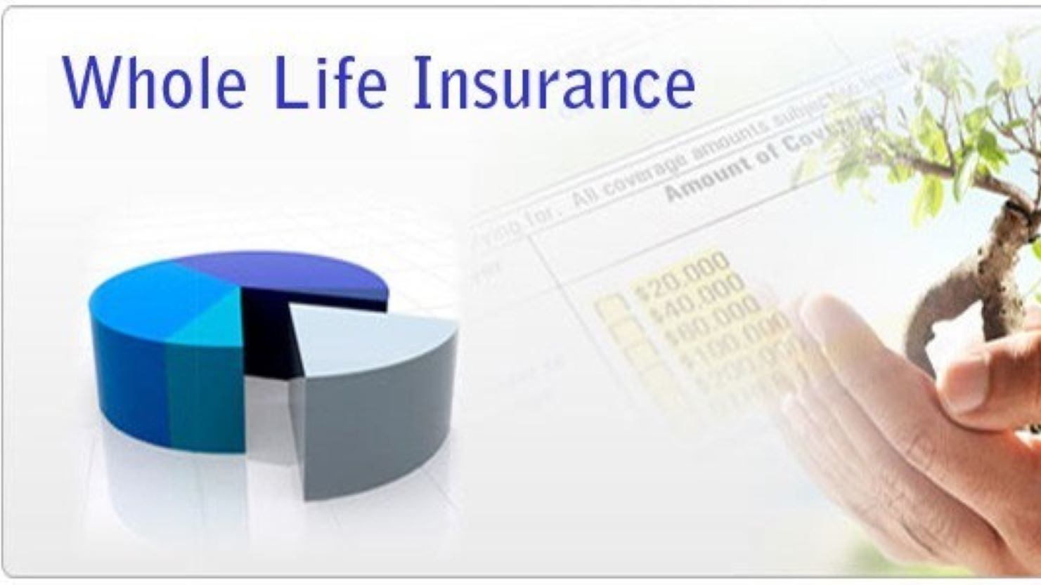 Term Life Insurance - The Complete Definitive Guide EDC