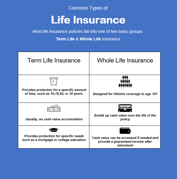 How Does Life Insurance Work & Why You Need It?